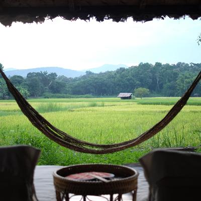 72 Chiang Mai’s Dream House | "บ้านนานวล" บ้านไม้ที่โอบกอดธรรมชาติและชุมชน