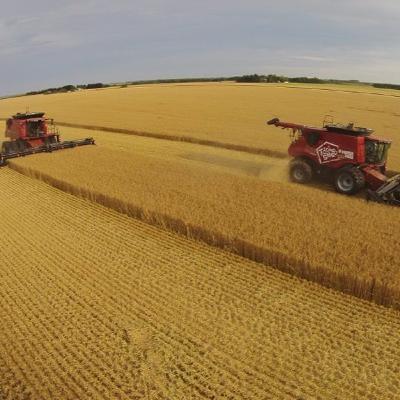 Series 1, Episode 2: Barley farming & craft beer Series 1, Episode 2: Barley farming & craft beer
