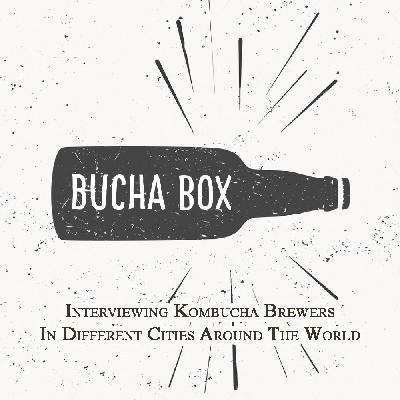 HOLY Kombucha - Brewed in Dallas, Texas HOLY Kombucha - Brewed in Dallas, Texas