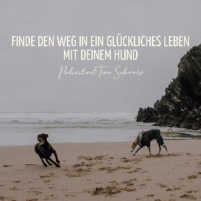 Finde den Weg in ein glückliches Leben mit deinem Hund Finde den Weg in ein glückliches Leben mit deinem Hund