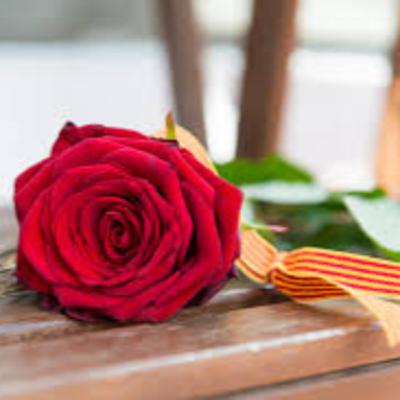 16. Sant Jordi