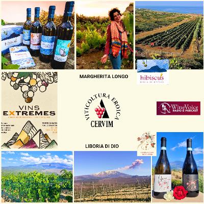 Le Terre del Vino: VINS EXTREMES - La Sicilia eroica al femminile: l'isola di Ustica e l'Etna di Bronte