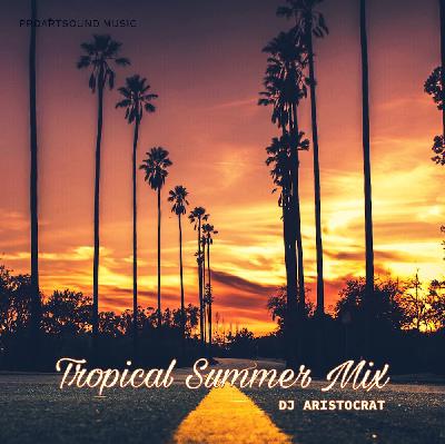 DJ Aristocrat - Tropical Summer Mix (024) DJ Aristocrat - Tropical Summer Mix (024)