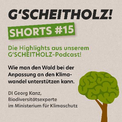 G'SCHEITHOLZ! SHORTS #15 – Waldumbau im Klimawandel in der Praxis