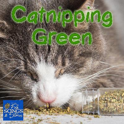 Catnipping Green: Where Good Kitties Go #302 Catnipping Green: Where Good Kitties Go #302