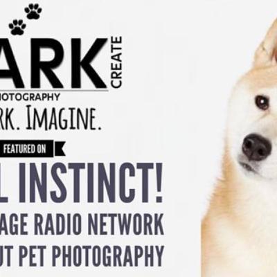 Episode 139: Let Your Bark Create & Cat Fashion Show