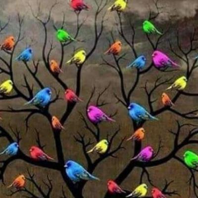 ch-3 plant kingdom of class 11th by priyanka tandon(annex future academy) ch-3 plant kingdom of class 11th by priyanka tandon(annex future academy)