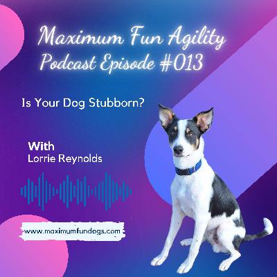 Is Your Dog Stubborn? Is Your Dog Stubborn?