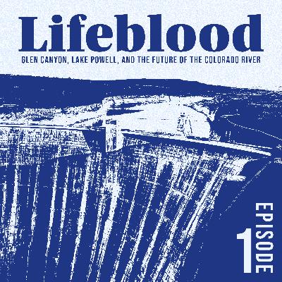 The Colorado River: A River Run Dry