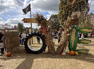 Get Out There: Explore a fall festival, get lost in a corn maze, and eat an apple cider donut Get Out There: Explore a fall festival, get lost in a corn maze, and eat an apple cider donut