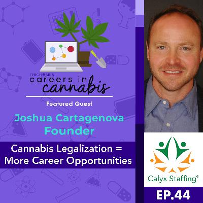 Cannabis Legalization = More Career Opportunities - Interview: Joshua Cartagenova of Calyx Staffing