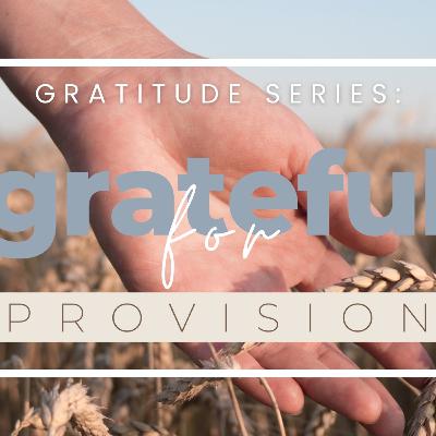 Gratitude: Grateful for Provision