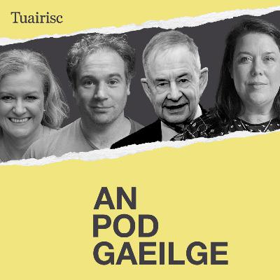 ‘Déanann an Ghaeilge difríocht, agus an-difríocht, i dtoghcháin i nGaillimh Thiar’