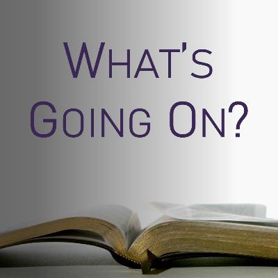 What's Going On? What's Going On?