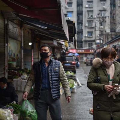 The Coronavirus The Coronavirus