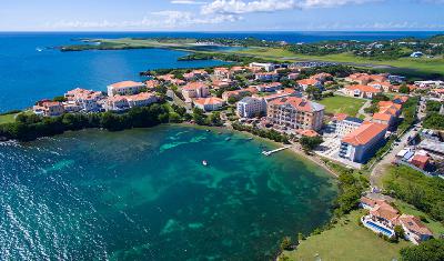 Thinking about Vet School in the Caribbean?