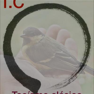 Tertulia sobre el ancla. Taoísmo clásico.T:2.Capítulo 21
