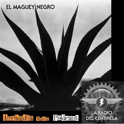 02 | El Maguey Negro
