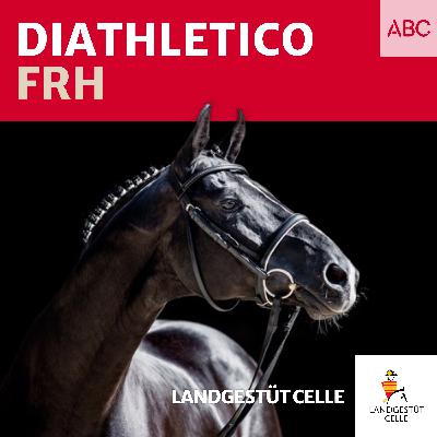 Diathletico FRH Diathletico FRH