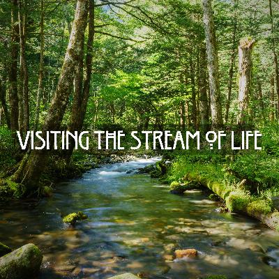 Visiting the Stream of Life in the Grove (Guided Meditation)