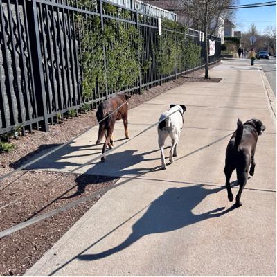 097. Ready for Boston / BPC / Looking for a Positivity Bias 097. Ready for Boston / BPC / Looking for a Positivity Bias