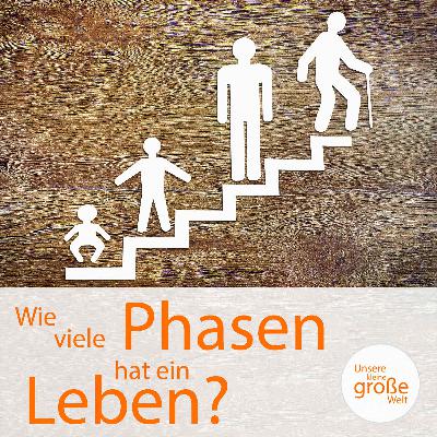 Wie viele Phasen hat ein Leben?