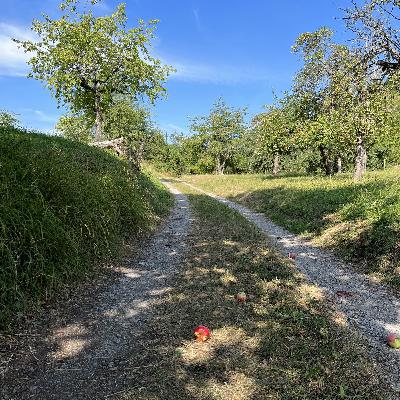 Les émissaires du pays de la Mort