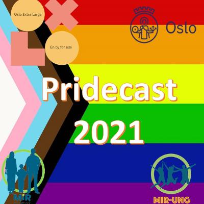 Pride 2021 - Kan man respektere uten å akseptere?
