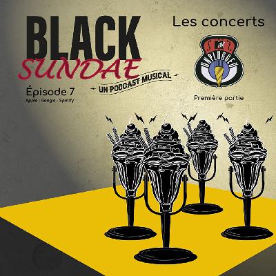 ÉP_07 : Les concerts "MTV Unplugged"; première partie