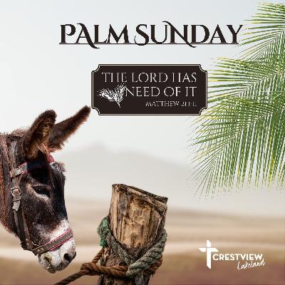 The Lord Has Need of It - Palm Sunday