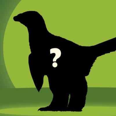 How We Unlocked The Colours Of Dinosaurs