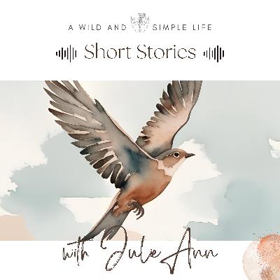A Bird's-Eye View - A Cozy Short Story