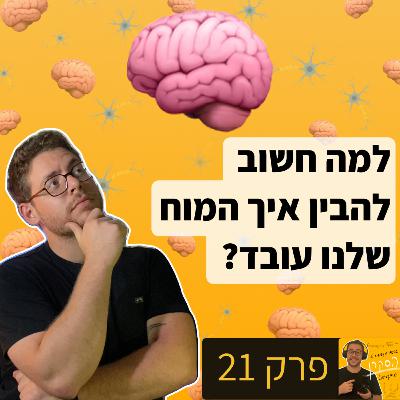 פרק 21 | למה בכלל חשוב להבין איך עובד המוח? 🧠🤔 פרק 21 | למה בכלל חשוב להבין איך עובד המוח? 🧠🤔