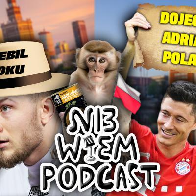 Ni3 Wiem Podcast (178) - Lewe AI, comeback Pokolenia, lotnicze ewolucje mają różne zakończenia