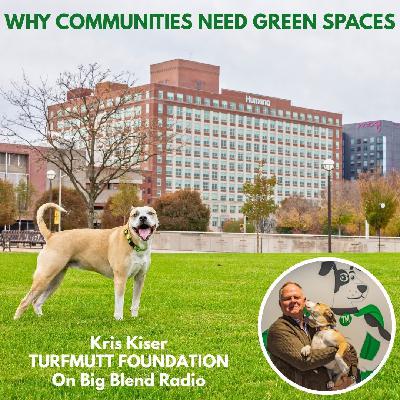 Why Communities Need Green Spaces
