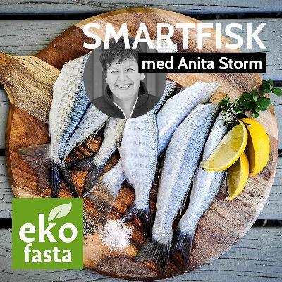 Ekofasta - Smartfisk