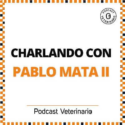 Charlando con Pablo Mata (parte 2)