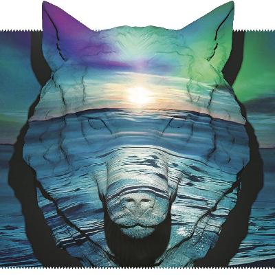 Episodio #04 - PÖFF: Tallinn Black Nights Film Festival 2017