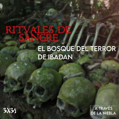 RITUALES DE SANGRE: El bosque del terror de Ibadan