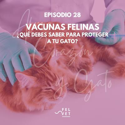 EPISODIO 28: Vacunas Felinas ¿Qué debes saber para proteger a tu gato?