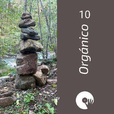 Orgánico 10 (mixed by DizzGO) Orgánico 10 (mixed by DizzGO)