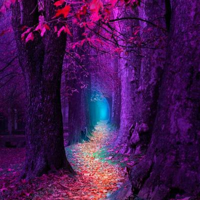 Aprendizaje de amor que nos aporta el enojo