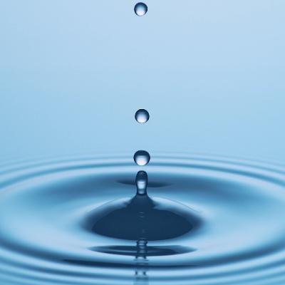 ... new beginnings ... new beginnings