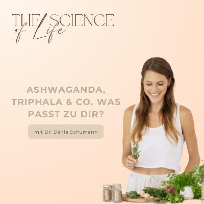 Ashwagandha, Triphala & Co.: Was passt zu dir?