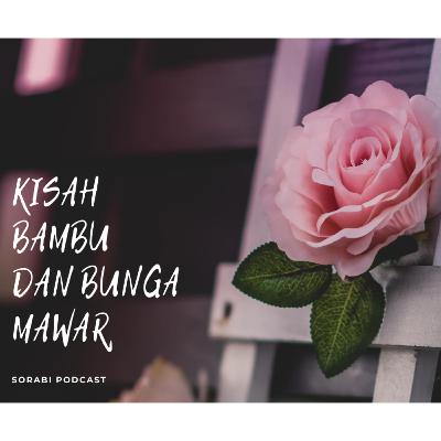 SoraBi #18 : Kisah Bambu dan Bunga Mawar