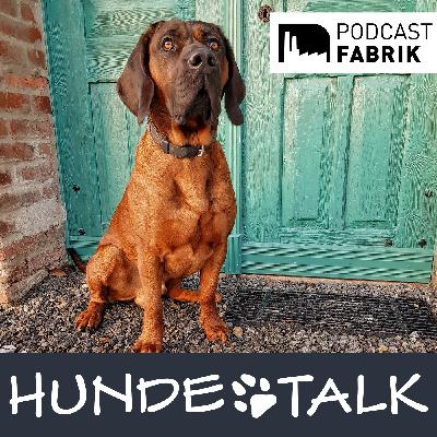 Verbindlichkeit in der Hund-Mensch-Beziehung Verbindlichkeit in der Hund-Mensch-Beziehung