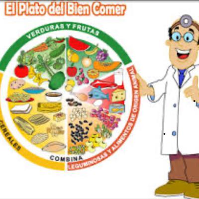 Las características de una correcta alimentación