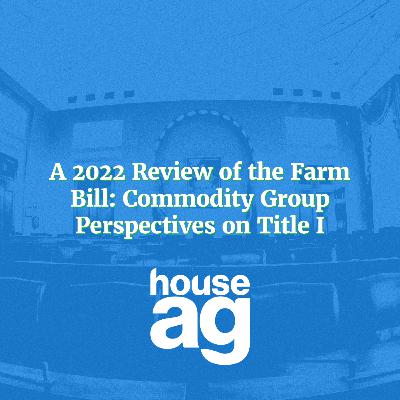 A 2022 Review of the Farm Bill: Commodity Group Perspectives on Title 1