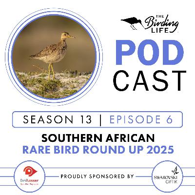 TBL Podcast - Season 13 Episode 6 - Southern African Rare Bird Round Up 2025 TBL Podcast - Season 13 Episode 6 - Southern African Rare Bird Round Up 2025