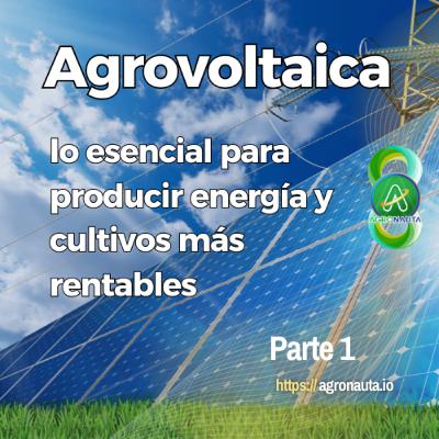 Agrovoltaica: lo esencial para producir energía y cultivos más rentables – Parte 1 Agrovoltaica: lo esencial para producir energía y cultivos más rentables – Parte 1